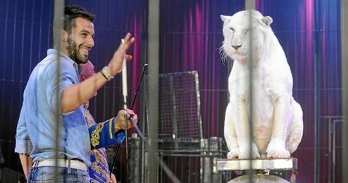 Según Mista, Negredo no tiene nada que envidiar en cuanto a cualidades al ´Tigre´ Falcao. Según Mista, Negredo no tiene nada que envidiar en cuanto a cualidades al ´Tigre´ Falcao.