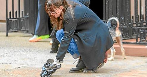 Ciudadanos propone una iniciativa para acabar con las heces de perro en las calles de Sevilla. Ciudadanos propone una iniciativa para acabar con las heces de perro en las calles de Sevilla.