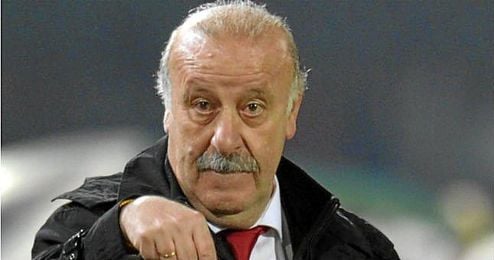 Vicente Del Bosque dirigiendo un partido de la Selección Española. Vicente Del Bosque dirigiendo un partido de la Selección Española.