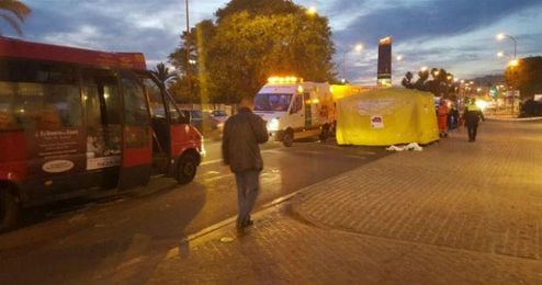 El accidente se ha producido en la zona próxima a la Real Maestranza. El accidente se ha producido en la zona próxima a la Real Maestranza.