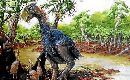 Dibujo aproximado de Gastornis, nombre con el que ha sido bautizada la especie. Dibujo aproximado de Gastornis, nombre con el que ha sido bautizada la especie.