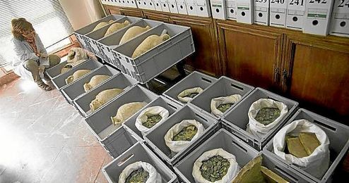 Parte de las ánforas y monedas romanas halladas en Tomares Parte de las ánforas y monedas romanas halladas en Tomares