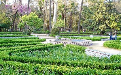 Parque María Luisa. Parque María Luisa.