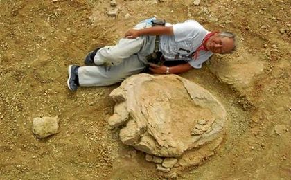 La huella data del período cretáceo hace alrededor de 70 millones a 90 millones de años. La huella data del período cretáceo hace alrededor de 70 millones a 90 millones de años.