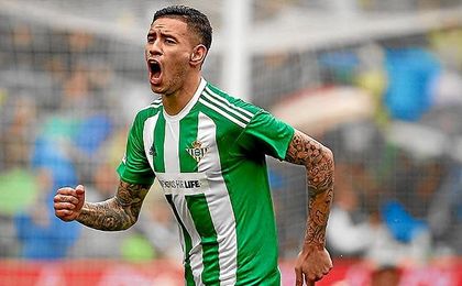 Sanabria celebra uno de sus goles esta temporada. Sanabria celebra uno de sus goles esta temporada.