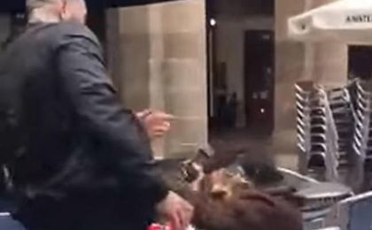 La Ertzaintza investiga la agresión del hincha del Betis La Ertzaintza investiga la agresión del hincha del Betis