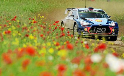 Neuville gana fácil tras el abandono de Tanak Neuville gana fácil tras el abandono de Tanak