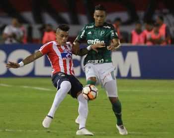 0-3. Palmeiras aprovecha la expulsión de Gutiérrez y vapulea a Junior en su casa 0-3. Palmeiras aprovecha la expulsión de Gutiérrez y vapulea a Junior en su casa