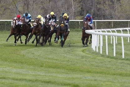 Las francesas, favoritas en el Valderas, primer gran premio de primavera Las francesas, favoritas en el Valderas, primer gran premio de primavera