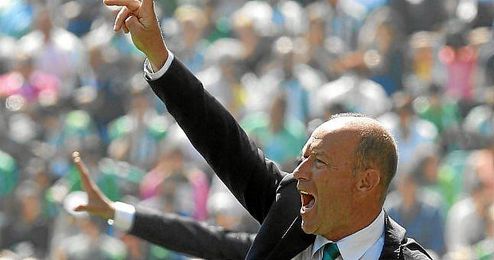Calderón, técnico del Betis, durante un partido. Calderón, técnico del Betis, durante un partido.