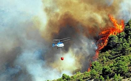 Los incendios forestales son desafortunadamente característicos del verano. Los incendios forestales son desafortunadamente característicos del verano.