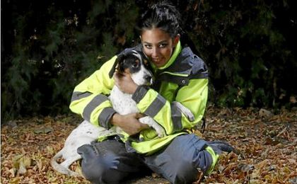 El Zoosanitario facilitó el año pasado 1.542 adopciones y la devolución de 261 animales a sus dueños El Zoosanitario facilitó el año pasado 1.542 adopciones y la devolución de 261 animales a sus dueños