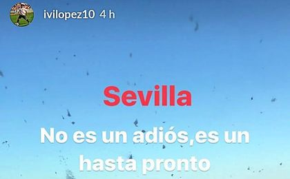 Ivi, camino a su nuevo destino Ivi, camino a su nuevo destino