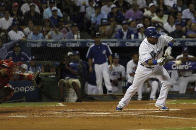 Los "archirrivales" Tigres y Águilas abrirán el torneo béisbol dominicano Los "archirrivales" Tigres y Águilas abrirán el torneo béisbol dominicano