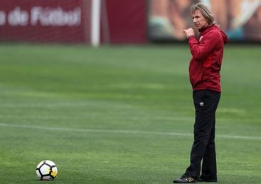 Guerrero está "molesto, pero optimista" afirmó Gareca sobre su suspensión Guerrero está "molesto, pero optimista" afirmó Gareca sobre su suspensión