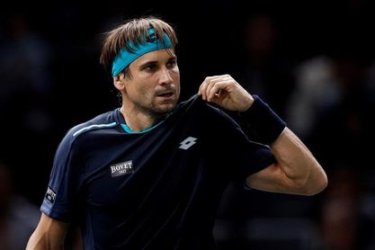 David Ferrer: "Está claro que es un buen año" David Ferrer: "Está claro que es un buen año"