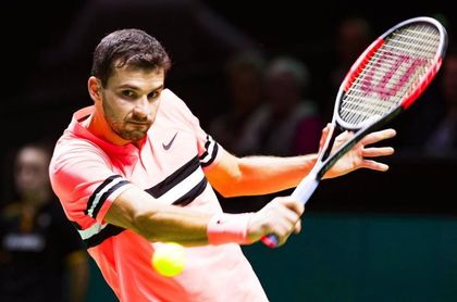 Goffin se retira tras recibir un pelotazo en un ojo, Dimitrov a la final Goffin se retira tras recibir un pelotazo en un ojo, Dimitrov a la final