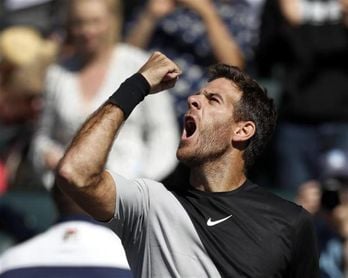 Juan Martín del Potro apabulla a Raonic y se cita con Federer en la final Juan Martín del Potro apabulla a Raonic y se cita con Federer en la final