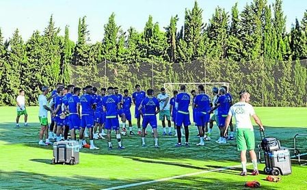 La plantilla del Betis cuenta con referentes de sus selecciones como Guardado, Mandi o Inui. La plantilla del Betis cuenta con referentes de sus selecciones como Guardado, Mandi o Inui.
