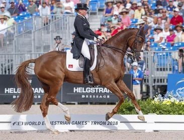 La alemana Isabell Werth se proclama campeona del mundo de doma clásica La alemana Isabell Werth se proclama campeona del mundo de doma clásica