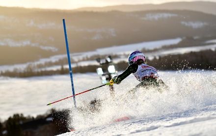 Shiffrin instaura la monarquía absoluta Shiffrin instaura la monarquía absoluta