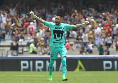 Los Pumas de Michel vencen al Veracruz y quedan a 4 puntos del líder Los Pumas de Michel vencen al Veracruz y quedan a 4 puntos del líder