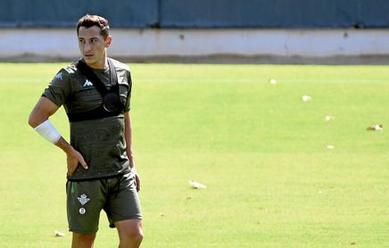 Guardado y la "formalidad" de su renovación Guardado y la "formalidad" de su renovación