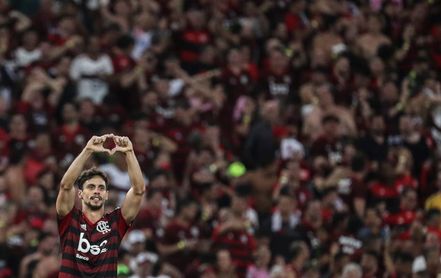 El Goiás cede un empate ante el líder Flamengo El Goiás cede un empate ante el líder Flamengo