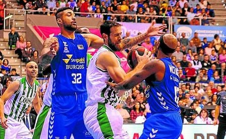 El Betis de baloncesto no pudo sumar la victoria ante el San Pablo Burgos. El Betis de baloncesto no pudo sumar la victoria ante el San Pablo Burgos.