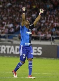Brote de coronavirus en el Palmeiras con 17 positivos Brote de coronavirus en el Palmeiras con 17 positivos