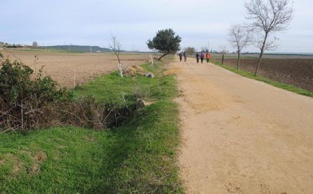 Vía verde de Los Alcores: del Tren de los Panaderos a nuestros días. Vía verde de Los Alcores: del Tren de los Panaderos a nuestros días.