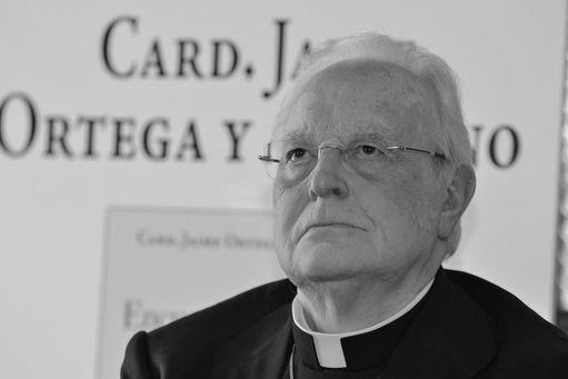 El cardenal arzobispo emérito de Sevilla, Carlos Amigo Vallejo, ha fallecido este miércoles, a los 87 años de edad.