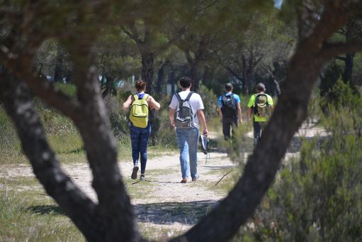 Nueva jornada de senderismo desde Aznalcóllar hacia Camas Nueva jornada de senderismo desde Aznalcóllar hacia Camas